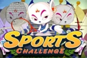 14455 sports challenge